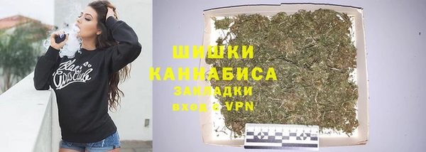 PSILOCYBIN Пестово
