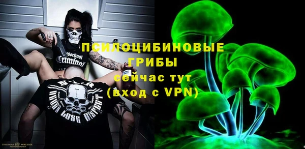ПСИЛОЦИБИНОВЫЕ ГРИБЫ Абаза