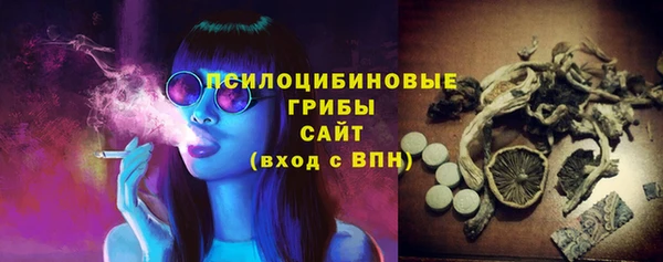 ПСИЛОЦИБИНОВЫЕ ГРИБЫ Абаза
