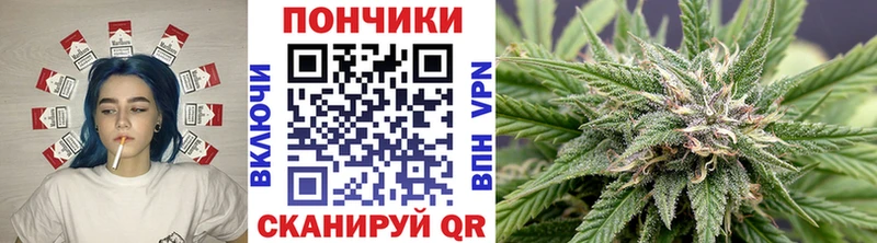 Марихуана индика  гидра ссылки  Приволжск 
